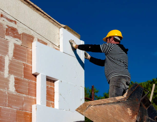 Best Spray Foam Insulation  in Mclean, TX