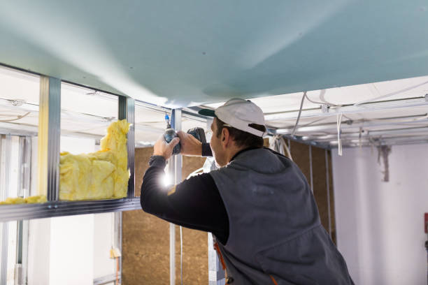 Best Insulation Contractors for Homes  in Mclean, TX