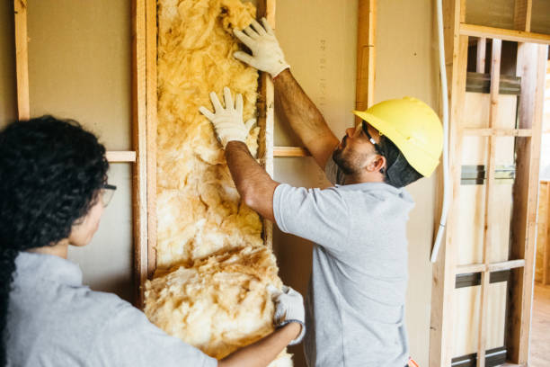 Best Professional Insulation Contractor  in Mclean, TX