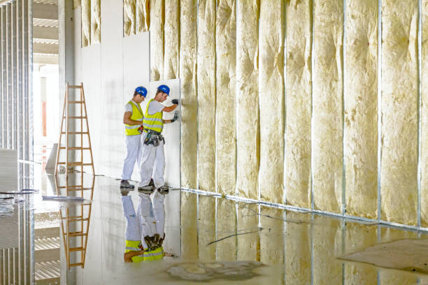 Best Insulation Replacement Services  in Mclean, TX